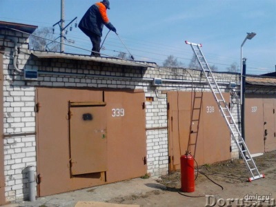 Покраска стен в ванной комнате (20 фото): особенности и красивые цвета